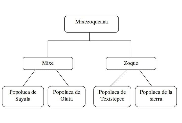 Organigrama popoluca Organigrama popoluca